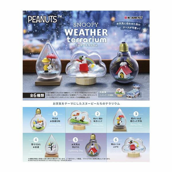 再販 リーメント スヌーピー ウェザーテラリウム(SNOOPY WEATHER terrarium) (1BOX) 【8月予約】