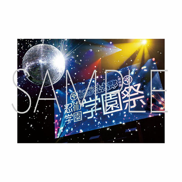 製品画像：25位