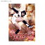 野球狂の詩 HDリマスター版 / 木之内みどり(DVD)◆ネコポス送料無料(ZB33699) 2,280円