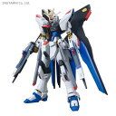 HGCE (REVIVE) 1/144 ZGMF-X10A ...