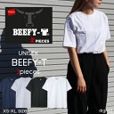 Hanesヘインズ　定番無地2PパックTシャツ/BEFFY男女兼用ユニセックスH5180-2