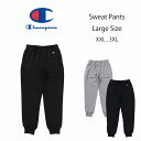 Champion Sweat Pants Large Size `sI@XEFbgpc@傫TCY