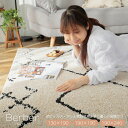 国産 ラグ 抗菌 防臭 消臭 花粉低減 130×190cm 190×190cm 190×240cm ラグマット カーペット 洗える 洗濯できる おしゃれ ふわふわ オールシーズン リビング ホットカーペット 床暖房対応 正方形 長方形 新生活 母の日 父の日 敬老の日 誕生日