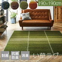 い草 ラグ 190×190cm マット 小林製薬 持続性抗菌剤 KOBA-GUARD 制菌 抗菌防臭 滑り止め 不織布 夏 グラデーション 新生活 母の日 敬老...