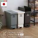日本製 バタフライ式 ダストボックス ごみ箱 ごみばこ ゴミ箱 コンパクト 馴染みやすい おしゃれ ペール ペダル 省スペース 軽量 キャスター付き キャスター...