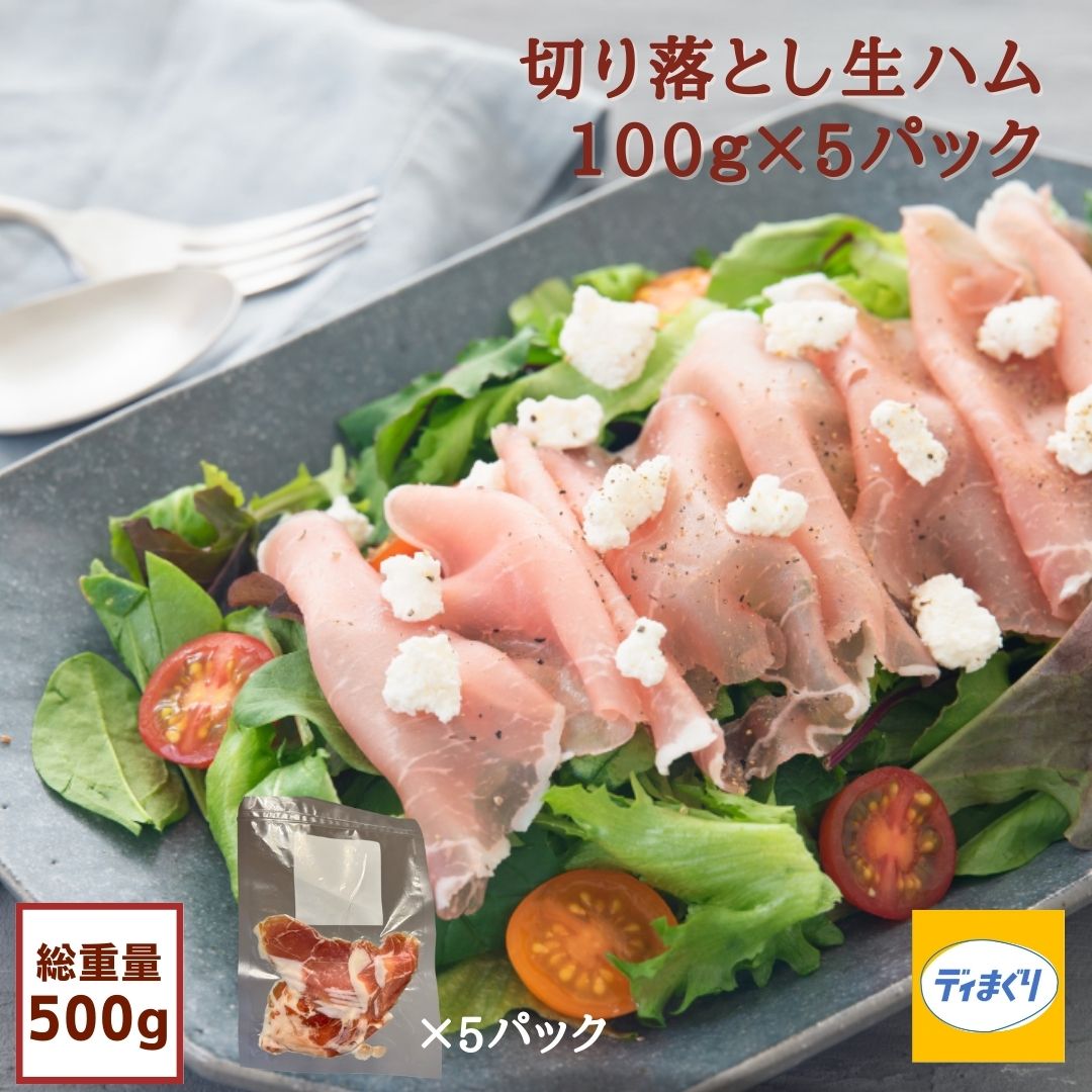 切り落とし 生ハム 500g(100g×5パック)