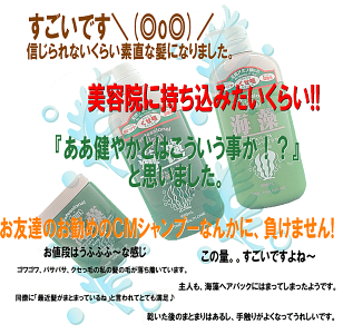 プロFアミノ海藻セット(シャンプー,トリートメント)くせ毛(癖毛,クセ毛)改善,自宅で縮毛矯正,口コミ人気,おすすめくせ毛直しヘアケア(パサパサ,パサつき,枝毛,雨の広がり,きしみ,寝癖,パーマ,カラーで傷んだ髪)女性男性用(メンズ,こども)/業務用サイズ通販品)【P】
