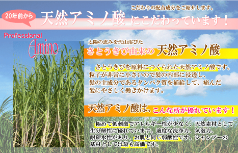 プロFアミノ海藻トリートメントヘアパックくせ毛癖毛クセ毛改善自宅で縮毛矯正口コミ人気おすすめくせ毛直しヘアケア枝毛きしみ寝癖パーマカラーで傷んだ髪に女性用(レディース)男性用(メンズ)こども美容室美容院サロントリートント