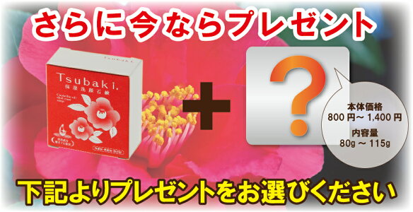 12000個突破★【今なら28%OFF】椿保湿洗顔石鹸:80g無添加人気口コミ美容スキンケアコスメランキング常連の乾燥肌敏感肌に低刺激石けん(固形石鹸洗顔石鹸)せっけん保湿ケアでツルツル美肌に。男性(メンズ)にも