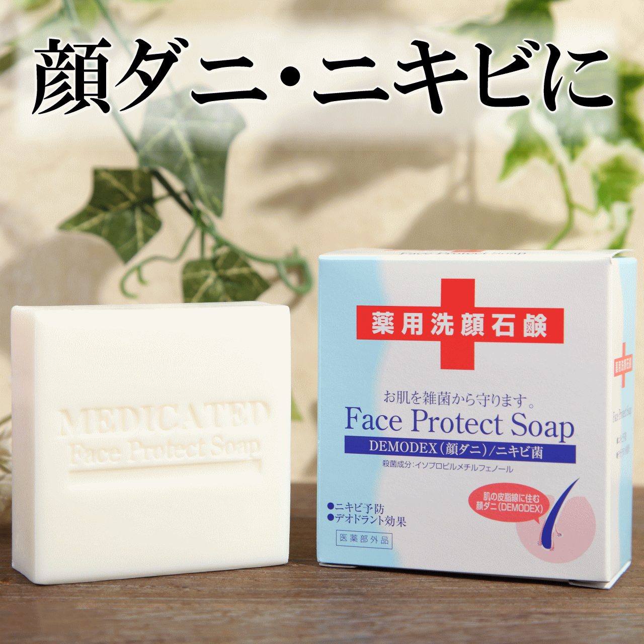 薬用 顔ダニ石鹸  115g  顔ダニ ニキビケア にきび ニキビ 大人ニキビ 洗顔石鹸 洗顔せっけん 固形石鹸 固形 石けん せっけん ソープ まつ毛ダニ