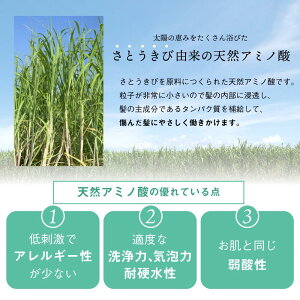 プロFアミノ海藻シャンプーorコンディショナーくせ毛癖毛クセ毛改善自宅で縮毛口コミ人気おすすめくせ毛直しヘアケア枝毛きしみ寝癖パーマカラーで傷んだ髪に女性用(レディース)男性用(メンズ)こども美容室美容院サロントリートント