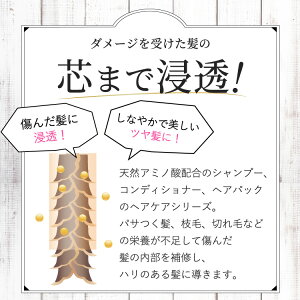 お試し★400万本超!プロFアミノ初回送料無料セット(シャンプーコンデトリートメント)くせ毛(癖毛クセ毛)改善口コミくせ毛直しヘアケア(パサパサパサつき枝毛広がりきしみ寝癖パーマカラーで傷んだ髪)女性男性用(メンズ)業務用)