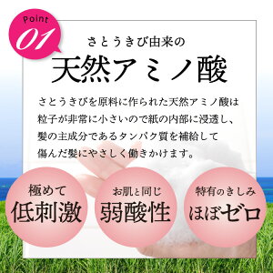 お試し★400万本超!プロFアミノ初回送料無料セット(シャンプーコンデトリートメント)くせ毛(癖毛クセ毛)改善口コミくせ毛直しヘアケア(パサパサパサつき枝毛広がりきしみ寝癖パーマカラーで傷んだ髪)女性男性用(メンズ)業務用)