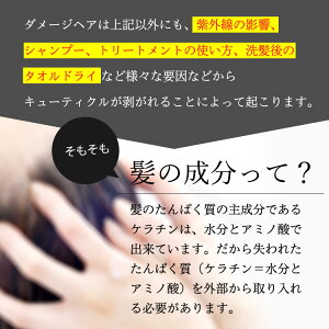お試し★400万本超!プロFアミノ初回送料無料セット(シャンプーコンデトリートメント)くせ毛(癖毛クセ毛)改善口コミくせ毛直しヘアケア(パサパサパサつき枝毛広がりきしみ寝癖パーマカラーで傷んだ髪)女性男性用(メンズ)業務用)