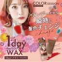 カラーワックス 【公式】 カラーセッション1Day カラーワックス 40g ヘアカラー カラーリング カラーリングトリートメント 毛染め シルバー ピンク レッド ブルー 金髪 アッシュ ベイビーピンク