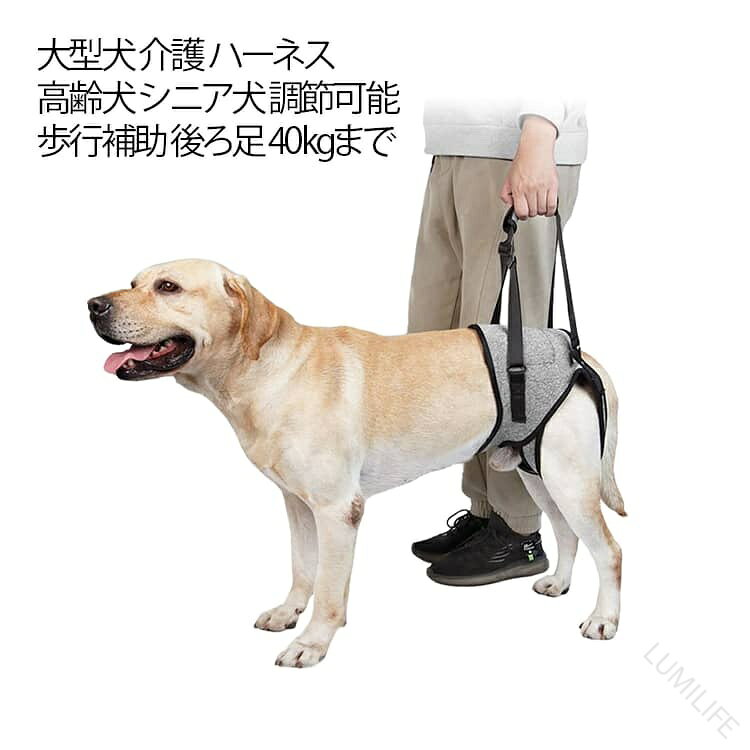 .犬用 介護 ハーネス 犬 補助 ハーネス 犬 歩行 補助 ハーネス 介助 散歩 歩行 補助 老犬 ハーネス 後ろ足 犬 ハーネス 散歩 歩行 サポート 安定性 小型犬 関節 大型犬 サポート 中型犬 抜け 防止 をお探しの方に。歩行 補助 介助 散歩 時の 体勢 を 支え、後ろ足 の サポート や 安定性 を しっかり 確保 したい 犬用 ハーネス です。老犬 小型犬 中型犬 大型犬 の 補助 に も 対応 し、抜け に くい 使い勝手 を 重視 しています。。 指定された配送時間は承っておりません。【LUMILIFE】