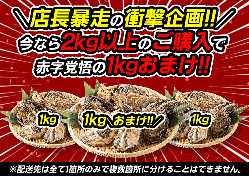 【2kg以上購入で1kgおまけ！】 カキ 牡蠣 かき 生食用 殻付き 1kg（8～10個前後） 冷凍 ［送料無料］ 生牡蠣 生食 美味しい 冷凍牡蠣 生ガキ 生食用カキ お取り寄せ 殻付き牡蠣 高鮮度 贈り物 お取り寄せグルメ 贈答用 父の日 2