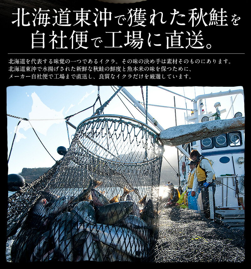 いくら 鮭 イクラ 醤油漬け 500g 北海道産 いくら醤油漬け 北海道 海鮮 グルメ いくらの醤油漬け たっぷり 北海道グルメ 海鮮 食べ物 食品 お取り寄せ 贈り物 ［送料無料］ 健康 父の日 父の日ギフト ギフト 3