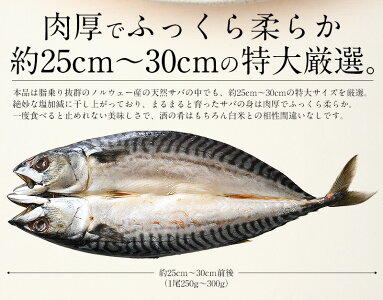 楽天市場 干物 さば サバ 鯖 特大サイズ 約250 300g 3尾 トロサバ とろさば 海鮮 天然 美味しい 魚 魚介 海産物 おかず おつまみ 酒の肴 贈り物 プレゼント お取り寄せグルメ 食べ物 お正月 お歳暮 御歳暮 港ダイニングしおそう 楽天市場 干物 さば サバ 鯖 特大サイズ 約250 300g 3尾 トロサバ とろさば 海鮮 天然 美味しい 魚 魚介 海産物 おかず おつまみ 酒の肴 贈り物 プレゼント お取り寄せグルメ 食べ物 お正月 お歳暮 御歳暮 港ダイニングしおそう