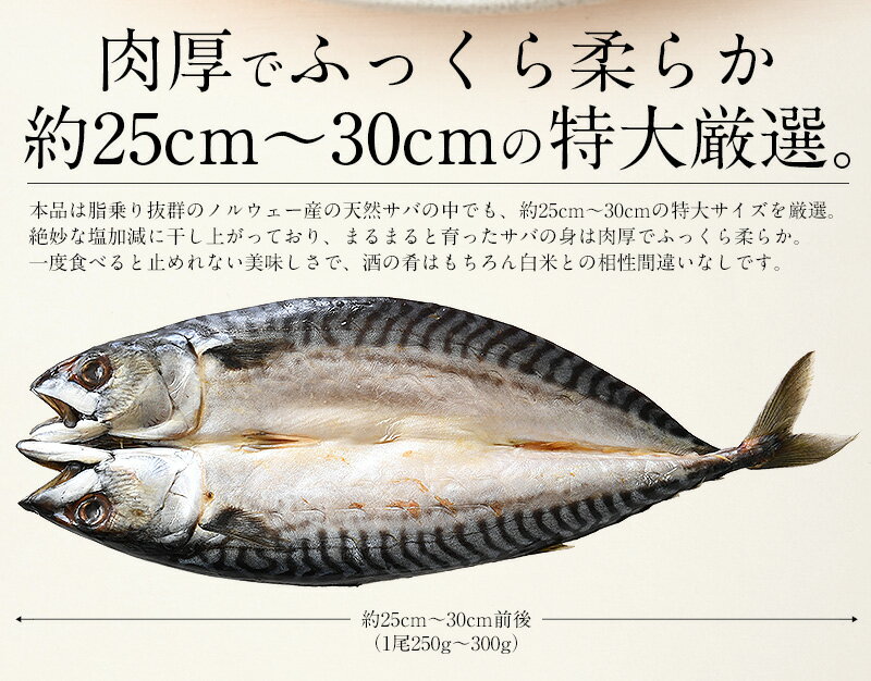 楽天市場 干物 さば サバ 鯖 特大サイズ 約250 300g 3尾 トロサバ とろさば 海鮮 天然 美味しい 魚 魚介 海産物 おかず おつまみ 酒の肴 贈り物 プレゼント お取り寄せグルメ 食べ物 お正月 お歳暮 御歳暮 港ダイニングしおそう