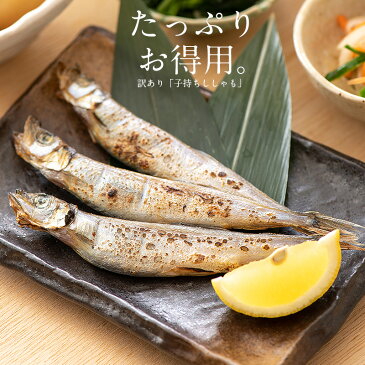 ししゃも シシャモ 子持ち 訳あり メス 1kg お徳用 1キロ 海産物 美味しい 冷凍 大量 魚 自宅用 子持ちししゃも まとめ買い 海鮮 食べ物 ギフト 贈答用 グルメ 魚介 贈り物 贈答 海鮮ギフトセット 敬老の日