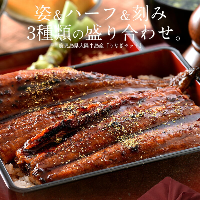 うなぎ 蒲焼き 国産 鹿児島県産 3種セット 無頭165g前後×1尾 ハーフカット約80g 刻みうなぎ50g ウナギ 鰻 母の日 父の日 プレゼント［送料無料］ うなぎの蒲焼 詰め合わせ 蒲焼 うなぎ蒲焼 国産うなぎ 母の日ギフト 父の日ギフト 国産うなぎ蒲焼 贈り物 ギフト お祝い
