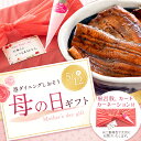 うなぎ 国産 鰻 ウナギ 蒲焼き 蒲焼 鰻の蒲焼 大サイズ 165g前後×2尾 国産鰻 うなぎ蒲焼き うなぎの蒲焼 国産うなぎ 鰻蒲焼 うなぎ蒲焼 食品 贈り物 記念日 母の日 ギフト グルメ プレゼント 3