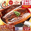 【エントリーで最大P9倍! 土用の丑の日 まだ間に合う!早い者勝ち150円OFFクーポン】お中元 うなぎ 国産 鰻 ウナギ 蒲焼き 蒲焼 鰻の蒲焼 大サイズ 165g前後×2尾 肝吸い 国産鰻 うなぎ蒲焼き うなぎの蒲焼 国産うなぎ 鰻蒲焼 うなぎ蒲焼 ウナギ蒲焼 ギフト プレゼント