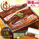 【敬老の日 遅れてごめんね まとめ買いで最大3,500円OFF!】 鰻 うなぎ ウナギ 蒲焼き 肝吸い 国産 うなぎ蒲焼き 特大サイズ 鰻の蒲焼 約200g×1尾 鰻蒲焼 うなぎの蒲焼 蒲焼 国産うなぎ カット ランキング ギフト プレゼント