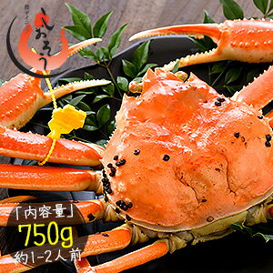 越前かに かに カニ 蟹 姿 750g前後×1尾 大サイズ 越前蟹 越前がに（着日指定不可）［送料無 ...