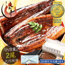 遅れてごめんね 母の日 父の日 ギフト うなぎ 国産 鰻 ウナギ 蒲焼き 蒲焼 鰻の蒲焼 大サイズ 165g前後×2尾 国産鰻 うなぎ蒲焼き うなぎの蒲焼 国産...