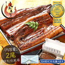 遅れてごめんね 母の日 父の日 ギフト 鰻 うなぎ 蒲焼き 無頭 ウナギ 国産 特大サイズ 約200g×2尾 うなぎ蒲焼 国産うなぎ蒲焼 国産鰻 国産ウナギ カ...