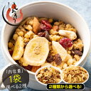 種類が選べる フルーツ グラノーラ グラノラ シリアル オートミール グルメ 送料無料 国産 プレーン ドライフルーツ バナナ クランベリー レーズン リンゴ ...