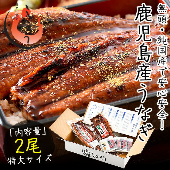 うなぎ 蒲焼き 無頭 鹿児島 国産 特大サイズ 約200g×2尾 ウナギ 鰻 ギフト ［送料無料］