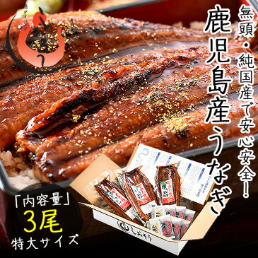 うなぎ 蒲焼き 無頭 鹿児島県産 国産 特大サイズ 約200g×3尾 ウナギ 鰻 ギフト グルメ プレゼント ［送料無料］