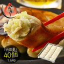 餃子 ジャンボ餃子 40個 1.6kg 冷凍餃