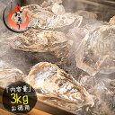 カキ 牡蠣 缶焼き かき 3kg(殻付き 約32〜42個)軍...