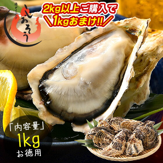 【2kg以上購入で1kgおまけ！】 カキ 牡蠣 かき 生食用 殻付き 1kg（6〜8個前後） 冷凍 ［送料無料］ 生牡蠣 生食 美味しい 冷凍牡蠣 生ガキ 生食用カキ お取り寄せ 殻付き牡蠣 高鮮度 贈り物 お取り寄せグルメ 贈答用 父の日 プレゼント ギフト 健康 実用的のサムネイル