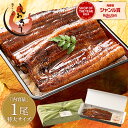 【敬老の日ギフトセット】鰻 うなぎ 蒲焼き 無頭 ウナギ 国産 特大サイズ 約200g×1尾 うなぎ蒲焼 国産 国産鰻 国産ウナギ カット 化粧箱 お祝い 贈答用 誕生日 グルメ 送料無料 プレゼント ギフト 子供 ランキング ギフト 敬老の日