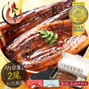 まだ間に合う!母の日 ギフト うなぎ 国産 鰻 ウナギ 蒲焼き 蒲焼 鰻の蒲焼 大サイズ 165g前後×2尾 国産鰻 うなぎ蒲焼き うなぎの蒲焼 国産うなぎ 鰻蒲焼 うなぎ蒲焼 ウナギ蒲焼 食品 贈り物 記念日 プレゼント 父の日