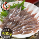 生 ホタルイカ ほたるいか 500g 生食用 生イカ 産直 生ほたるいか 冷凍イカ 生ホタルイカ いか イカ お取り寄せ グルメ 魚介 海鮮 産地直送 プレゼン...