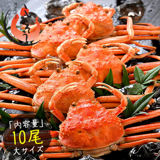 セイコガニ せいこがに せいこ蟹 大サイズ×10尾 福井 越前松葉 （着日指定不可） 健康 子供 ギ ...