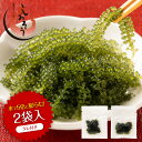 海ぶどう 5倍に膨らむ 無添加 無着色 2食入り(タレ付き) 送料無料 1000円 ポッキリ 海ブドウ 塩漬け 海藻 特許技術 お取り寄せ 贈り物 おつまみ ギ...