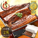 母の日 まだ間に合う 鰻 うなぎ 蒲焼き 無頭 ウナギ 国産 特大サイズ 約200g×2尾 うなぎ蒲焼 国産うなぎ蒲焼 国産鰻 国産ウナギ カット 化粧箱 お祝い 贈答用 誕生日 グルメ 送料無料 食品 食べ物 ギフト プレゼント 父の日