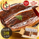 鰻 ウナギ うなぎ 3種セット 蒲焼き 無頭 国産 大サイズ 約165g×2尾 刻みうなぎ 50g×1袋 カットうなぎ 80g×1袋 国産鰻 グルメ 贈答 うな...