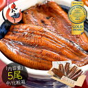 鰻 うなぎ 蒲焼き 国産 無頭 ウナギ 中サイズ 142g前後×5尾 国産うなぎ うなぎの蒲焼 蒲焼 冷凍うなぎ 冷凍 うなぎ蒲焼 カット 国産鰻 ..