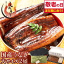 【最大300%Pバック!敬老の日 まだ間に合う 早い者勝ち150円OFFクーポン!】うなぎ 国産 鰻 ウナギ 蒲焼き 蒲焼 鰻の蒲焼 大サイズ 165g前後×2尾 肝吸い 国産鰻 うなぎ蒲焼き うなぎの蒲焼 国産うなぎ 鰻蒲焼 うなぎ蒲焼 ウナギ蒲焼 ギフト プレゼント