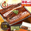 【最大300%Pバック!】【敬老の日 まとめ買いで最大3,500円OFF!】 鰻 うなぎ ウナギ 蒲焼き 肝吸い 国産 うなぎ蒲焼き 特大サイズ 鰻の蒲焼 約200g×1尾 鰻蒲焼 うなぎの蒲焼 蒲焼 国産うなぎ カット ランキング ギフト プレゼント