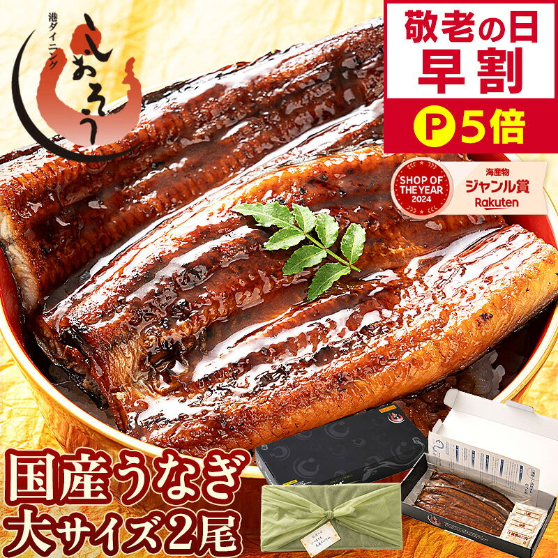 【敬老の日 早割P5倍！】 うなぎ 国産 鰻 ウナギ 蒲焼き 蒲焼 鰻の蒲焼 大サイズ 165g前後...