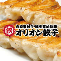 本場宇都宮産餃子オリオン餃子　60個入り　専用タレ付き　冷凍餃子　送料無料